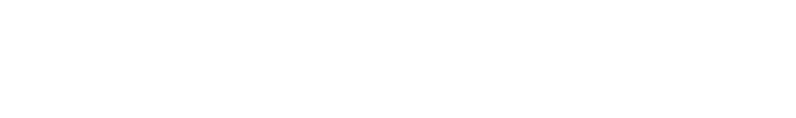 ZH Performance